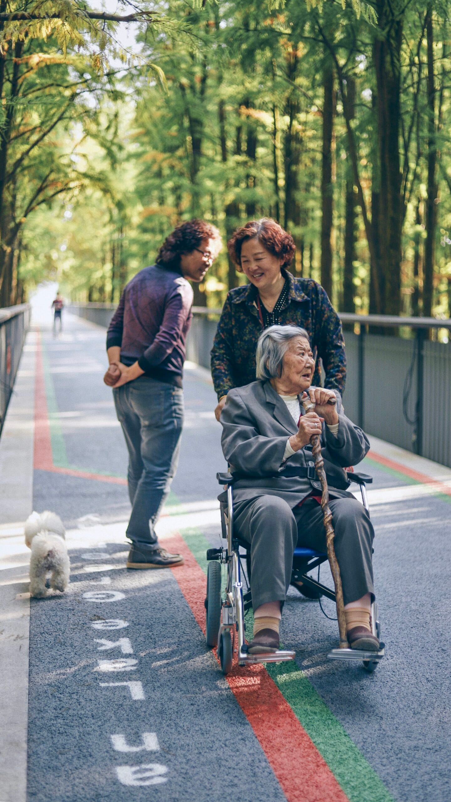 Understanding the Average Age for Menopause