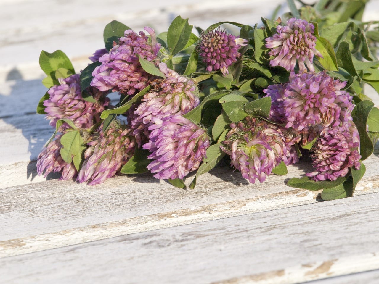 Understanding the Emotional Impact of Menopause Anxiety