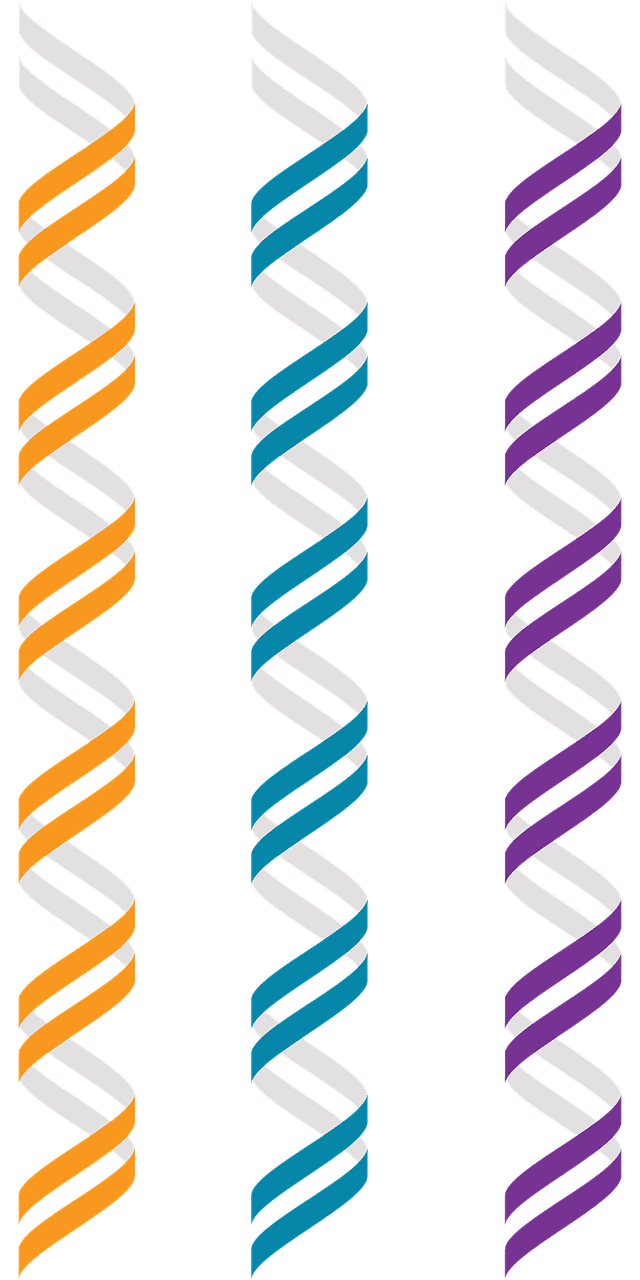 The Role of Genetics in Hereditary Liver Health Issues