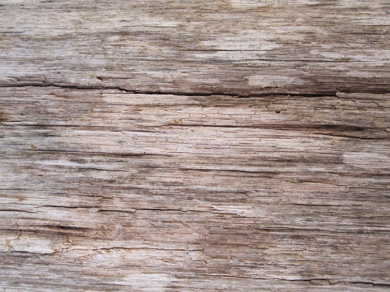 Do Planks Help Reduce Belly Fat Effectively?