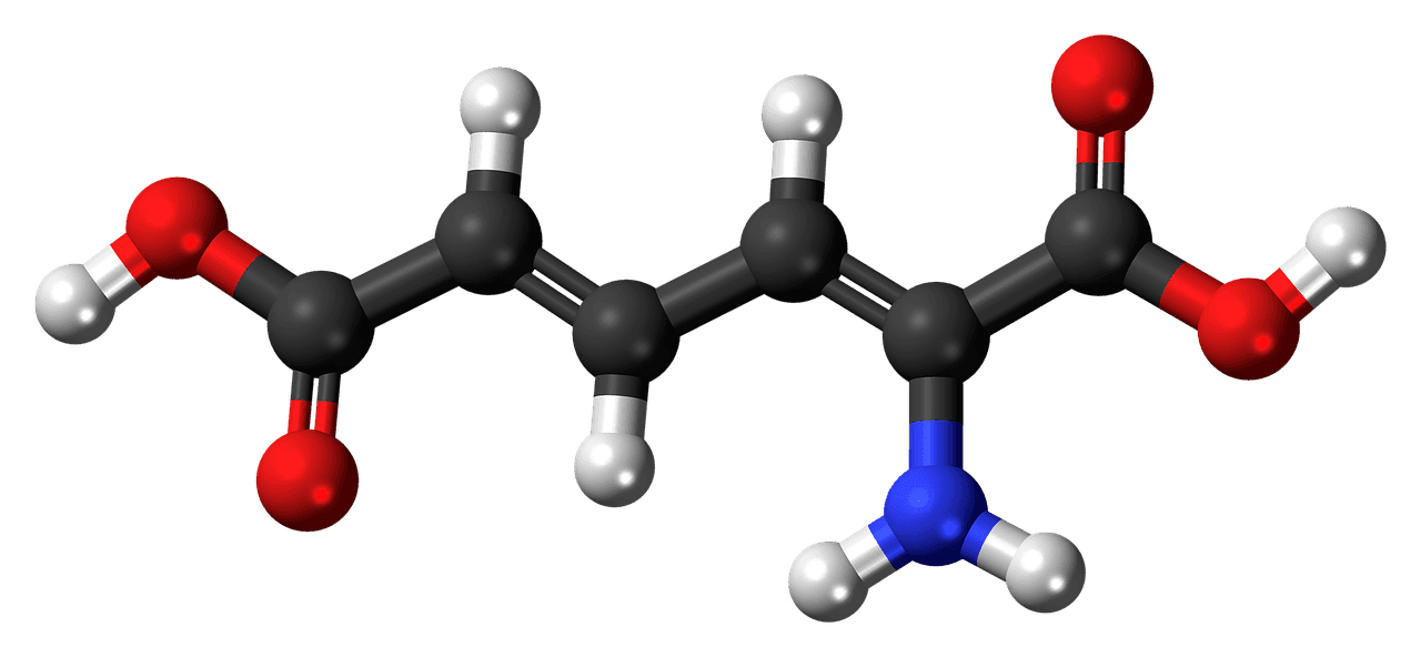 Exploring Why Belly Fat is Hard to Lose